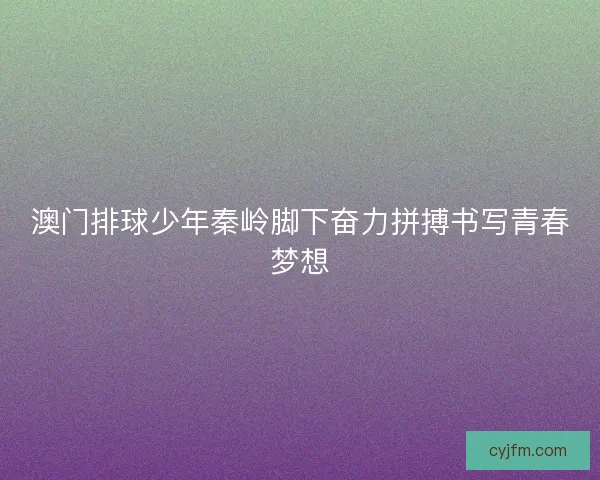 澳门排球少年秦岭脚下奋力拼搏书写青春梦想